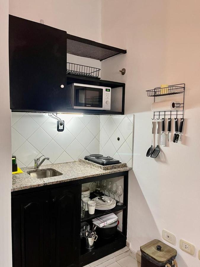 Terrazas De Rondeau Apartment Mendoza Bagian luar foto
